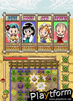 Puzzle de Harvest Moon (DS)