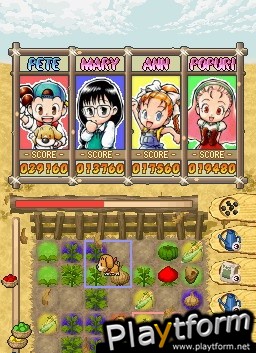 Puzzle de Harvest Moon (DS)