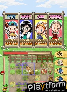 Puzzle de Harvest Moon (DS)