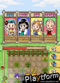 Puzzle de Harvest Moon (DS)