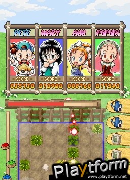 Puzzle de Harvest Moon (DS)