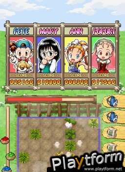 Puzzle de Harvest Moon (DS)