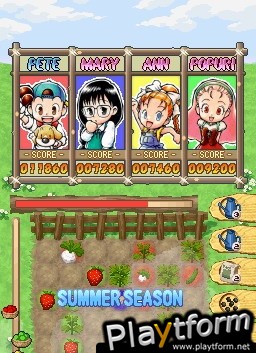 Puzzle de Harvest Moon (DS)