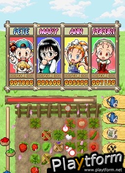 Puzzle de Harvest Moon (DS)