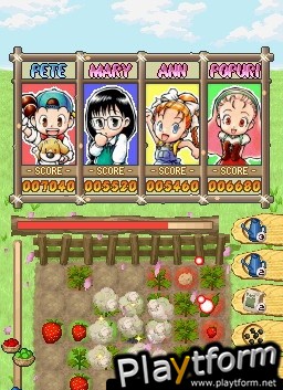 Puzzle de Harvest Moon (DS)