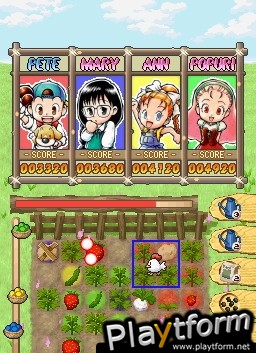 Puzzle de Harvest Moon (DS)