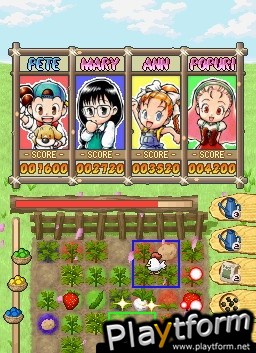 Puzzle de Harvest Moon (DS)