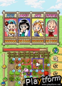 Puzzle de Harvest Moon (DS)