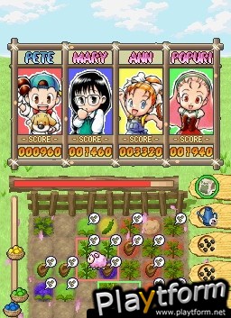 Puzzle de Harvest Moon (DS)