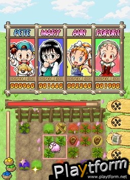 Puzzle de Harvest Moon (DS)