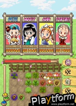 Puzzle de Harvest Moon (DS)