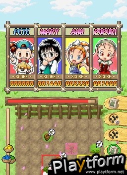 Puzzle de Harvest Moon (DS)