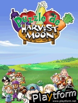 Puzzle de Harvest Moon (DS)