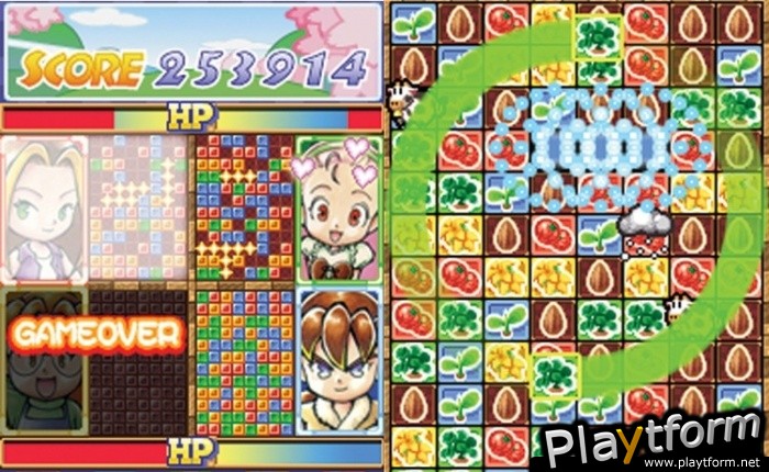 Puzzle de Harvest Moon (DS)