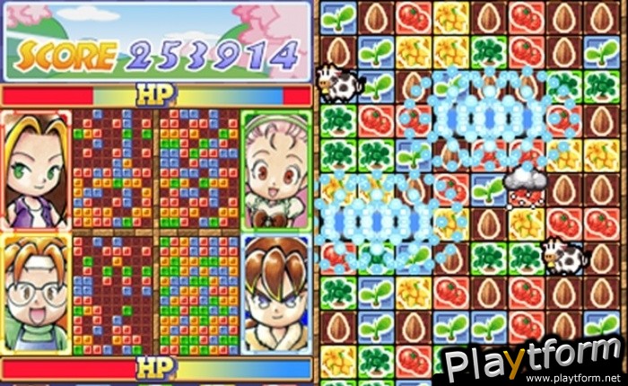 Puzzle de Harvest Moon (DS)