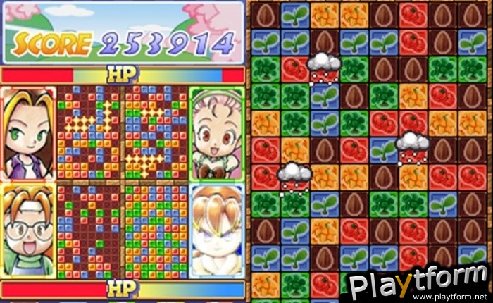 Puzzle de Harvest Moon (DS)