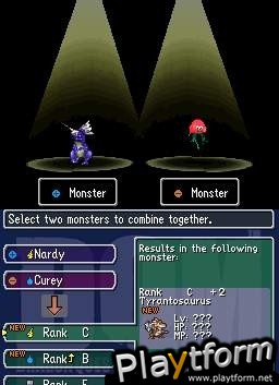 Dragon Quest Monsters: Joker (DS)