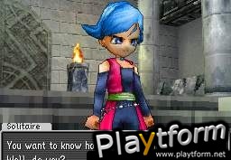 Dragon Quest Monsters: Joker (DS)