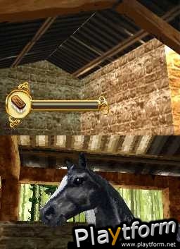 Horse Life (DS)