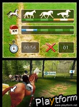 Horse Life (DS)