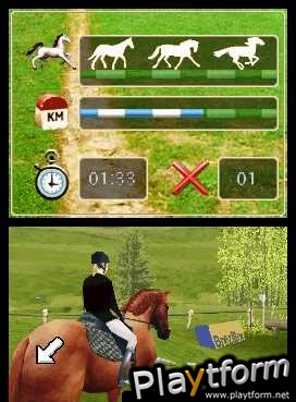 Horse Life (DS)