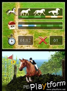 Horse Life (DS)