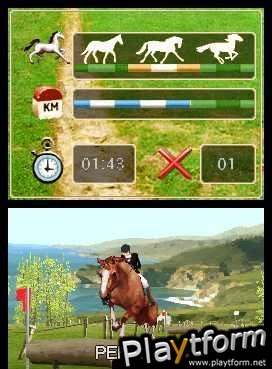 Horse Life (DS)