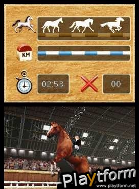 Horse Life (DS)