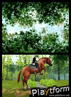 Horse Life (DS)