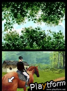 Horse Life (DS)