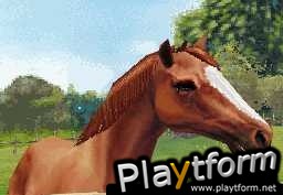 Horse Life (DS)