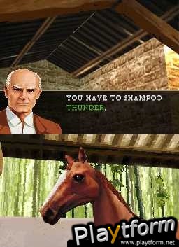 Horse Life (DS)