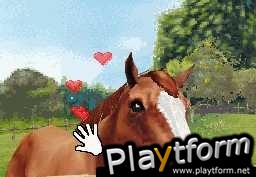 Horse Life (DS)