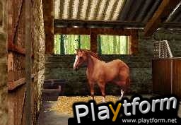 Horse Life (DS)