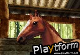 Horse Life (DS)