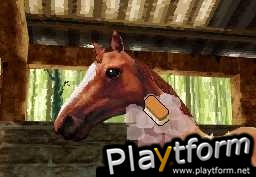 Horse Life (DS)