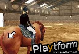 Horse Life (DS)