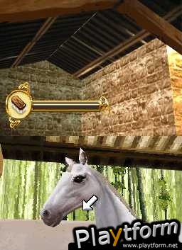 Horse Life (DS)