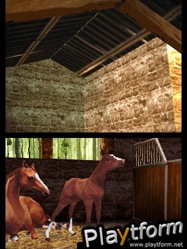 Horse Life (DS)