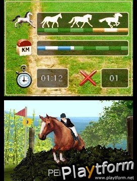 Horse Life (DS)