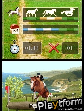 Horse Life (DS)