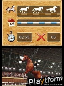 Horse Life (DS)