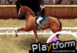 Horse Life (DS)