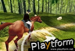 Horse Life (DS)