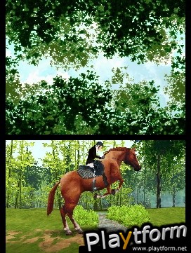 Horse Life (DS)