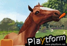 Horse Life (DS)