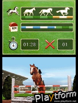 Horse Life (DS)