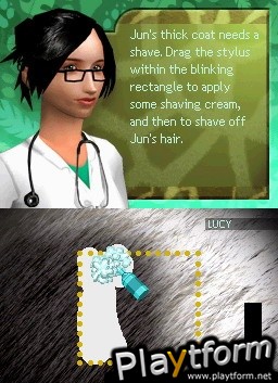 Zoo Hospital (DS)