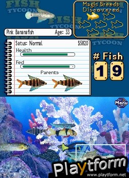 Fish Tycoon (DS)