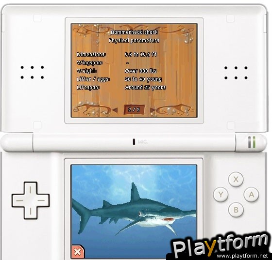 Petz Wild Animals: Dolphinz (DS)